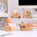 Succulent Resin Flower Pot, Desktop Cartoon Decorative Ornament, Outdoor Garden Decoration_maomaolike.com