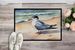 Tern Resting Doormat Front Door Mat Indoor Outdoor Rugs For Entryway, Non Slip Washable Low Pile, 24H X 36W_maomaolike.com