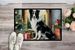 Border Collie Cozy Christmas Doormat Front Door Mat Indoor Outdoor Rugs For Entryway, Non Slip Washable Low Pile, 24H X 36W_maomaolike.com