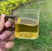 2PC High Borosilicate Transparent High-temperature Resistant Glass Walnut Handle Single-layer Glass Cup, Juice Single-layer Glass Cup_maomaolike.com