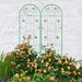 2 Pack Metal Garden Trellis 86.7" X 19.7" Rustproof Trellis For Climbing Plants Outdoor Flower Support Light Green_maomaolike.com