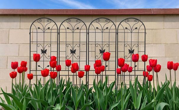 4 Pack Metal Garden Trellis 86.7" X 19.7" Rustproof Trellis For Climbing Plants Outdoor Flower Support_maomaolike.com