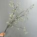 Artificial North American Wintergreen Mountain Return Fruit Vine Berry Wrapped Branches Chinese Style Decoration Wedding_maomaolike.com