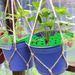 8Pcs Strawberry Planting Kit With 20Pcs Insect-proof Mesh Bag Reusable Strawberry Growing Racks Frame Protecting Strawberry Plants_maomaolike.com