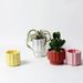 Nordic Style Ceramic Round Simple Artistic Personality With Tray Radish Bonsai Green Plant Flower Pot_maomaolike.com