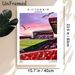 Pittodrie Stadium Painting Poster, Vibrant Sunset Soccer Stadium With Seagulls Poster, Features Authentic Venue Details, Ideal For Home, Game Room And_maomaolike.com