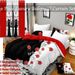 9 Piece In A Bag Thick Touch Bed Cover Curtain Set, Upgraded Luxury Bedspread Set, Bamboo Microfiber All Season Bedding-Set For Home, RV Beding, Boys And Girls Gifts With Gift Bag_maomaolike.com
