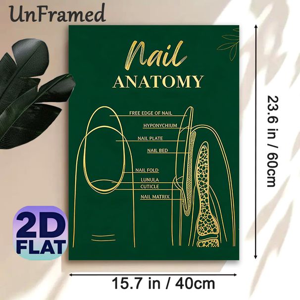 Nail Anatomy Painting Poster, Elegant Dark Green With Golden Line Art Poster, Informative Nail Structure Reference, Suitable For Nail Salons And_maomaolike.com