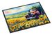 Kansas Sunflowers In Watercolor Doormat Front Door Mat Indoor Outdoor Rugs For Entryway, Non Slip Washable Low Pile, 24H X 36W_maomaolike.com