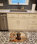 Chocolate Lab Fall Kitchen Pumpkins Memory Foam Kitchen Mat Machine Washable Anti-Fatigue Mat Cushion Comfort Bath Mat Or Kitchen Rug_maomaolike.com