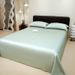 Home Textile Genuine 60 Count Lenzing Tencel Mattress Cover Single Sheet Silky Skin Friendly Solid Color Lyocell Bed Sheet Summer Sleeping Bed Cover_maomaolike.com