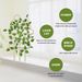 Yegbong Garden Plant Trellis, Home Wooden Geometric Molding Decorative Support Flower Arrangements Climbing Pergola_maomaolike.com