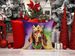 Redbone Coonhound King Of Mardi Gras Throw Pillow Machine Washable, Indoor Outdoor Decorative Pillow For Couch, Bed Or Patio, 18Hx18W_maomaolike.com