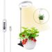 LED Telescopic Plant Light Growth Lamp Angel Ring Succulent Red And Blue Light Full Spectrum Flower Timing Plant Fill Light_maomaolike.com