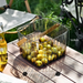 Dried Outdoor Camping Vegetable Transparent Fruit Handheld Multifunctional Bath Desktop Snack Storage Basket_maomaolike.com