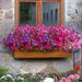 8 Bright Artificial Flowers That Do Not Fade Are Suitable For Indoor And Outdoor Decoration, Spring And Summer Decoration, Wedding And Home Decoration, And Do Not Include Containers_maomaolike.com