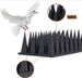Plastic Anti Bird Spikes Pigeon Deterrent Cat Repellent Pest Control Humane Outdoor Roof Fence Ledge Guard Garden_maomaolike.com
