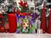 American Foxhound King Of Mardi Gras Throw Pillow Machine Washable, Indoor Outdoor Decorative Pillow For Couch, Bed Or Patio, 14Hx14W_maomaolike.com