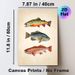 Vintage Fish Painting Poster, Detailed Hand-drawn Colorful Freshwater Fish Poster, Brings Natural Rustic Charm, Ideal For Living Room, Study Or_maomaolike.com