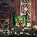 Belgian Tervuren King Of Mardi Gras Throw Pillow Machine Washable, Indoor Outdoor Decorative Pillow For Couch, Bed Or Patio, 18Hx18W_maomaolike.com