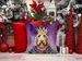 Otterhound King Of Mardi Gras Throw Pillow Machine Washable, Indoor Outdoor Decorative Pillow For Couch, Bed Or Patio, 14Hx14W_maomaolike.com