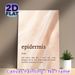 Epidermis Definition Painting Poster, Minimalist Soft-toned Text Art Poster, Informative Quirky Body Science Decor Idea For Bathroom, Bedroom Or_maomaolike.com