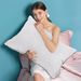 Pillow Core Pillow Fiber Low Height Non Slump Hotel Neck Protection Home Candy Set Hilton Double_maomaolike.com