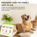 Pest Pheromone Moth Killer Insect Catcher Fly Sticky Traps Garden Pantry Food Flycatcher Sticker Plate Trap_maomaolike.com