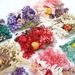 Preserved Dried DIY Material Kit Real Natural Air-Dried Candle Fan Frame Greeting Card Decoration Handmade Flower_maomaolike.com