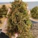 High-Quality Dry Water Moss Butterfly Orchid Succulent Dendrobium Nutrient Soil Fertilizer Seedling Grafting Turtle_maomaolike.com