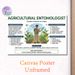 Agricultural Entomologist Painting Poster, Informative Educational Infographic Poster, Detailed Career Guide For Crop Insect Studies, Ideal For_maomaolike.com