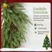 24 Inch Christmas Wreath, Artificial Norfolk Pine Wreath With Pine Cones And 88 Realistic Branches For Door, Wall_maomaolike.com