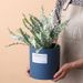 Beijia Luxury Nordic Style Cylindrical Flower Pot Indoor Plant Planter For Green Radish And Cactus With Gold Trays_maomaolike.com