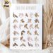 American Sign Language Alphabet Painting Poster, Soft-toned Illustrated Hand Gestures Poster, Useful Guide For Learning Sign Language, Ideal For Home_maomaolike.com