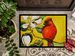 Cardinal Ochre Doormat Front Door Mat Indoor Outdoor Rugs For Entryway, Non Slip Washable Low Pile, 24H X 36W_maomaolike.com