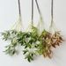 Cross-border Popular Artificial Fortune Leaves For Home Decor, Green Plant Arrangements, Wealth-attracting Displays,_maomaolike.com