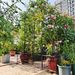 Metal Garden Arch With Gate And Plant Pot Garden Arbor Trellis Climbing Plants Support Rose Arch Black_maomaolike.com