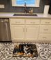 Siberian Husky Fall Kitchen Pumpkins Memory Foam Kitchen Mat Machine Washable Anti-Fatigue Mat Cushion Comfort Bath Mat Or Kitchen Rug_maomaolike.com