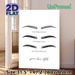 PMU Brow Styles Painting Poster, Minimalist Monochrome Line-art & Shaded Brow Styles Poster, Clearly Displays Microblading, Combination & Microshading_maomaolike.com