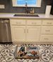 Keeshond Fall Kitchen Pumpkins Memory Foam Kitchen Mat Machine Washable Anti-Fatigue Mat Cushion Comfort Bath Mat Or Kitchen Rug_maomaolike.com