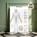 Meridian Chart Painting Poster, Clear Color-coded Human Meridian Map Poster, Informative Reference For Traditional Chinese Medicine Learning, Suitable_maomaolike.com