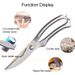 Kitchen Poultry Fish Chicken Bone Stainless Steel Cutter_maomaolike.com