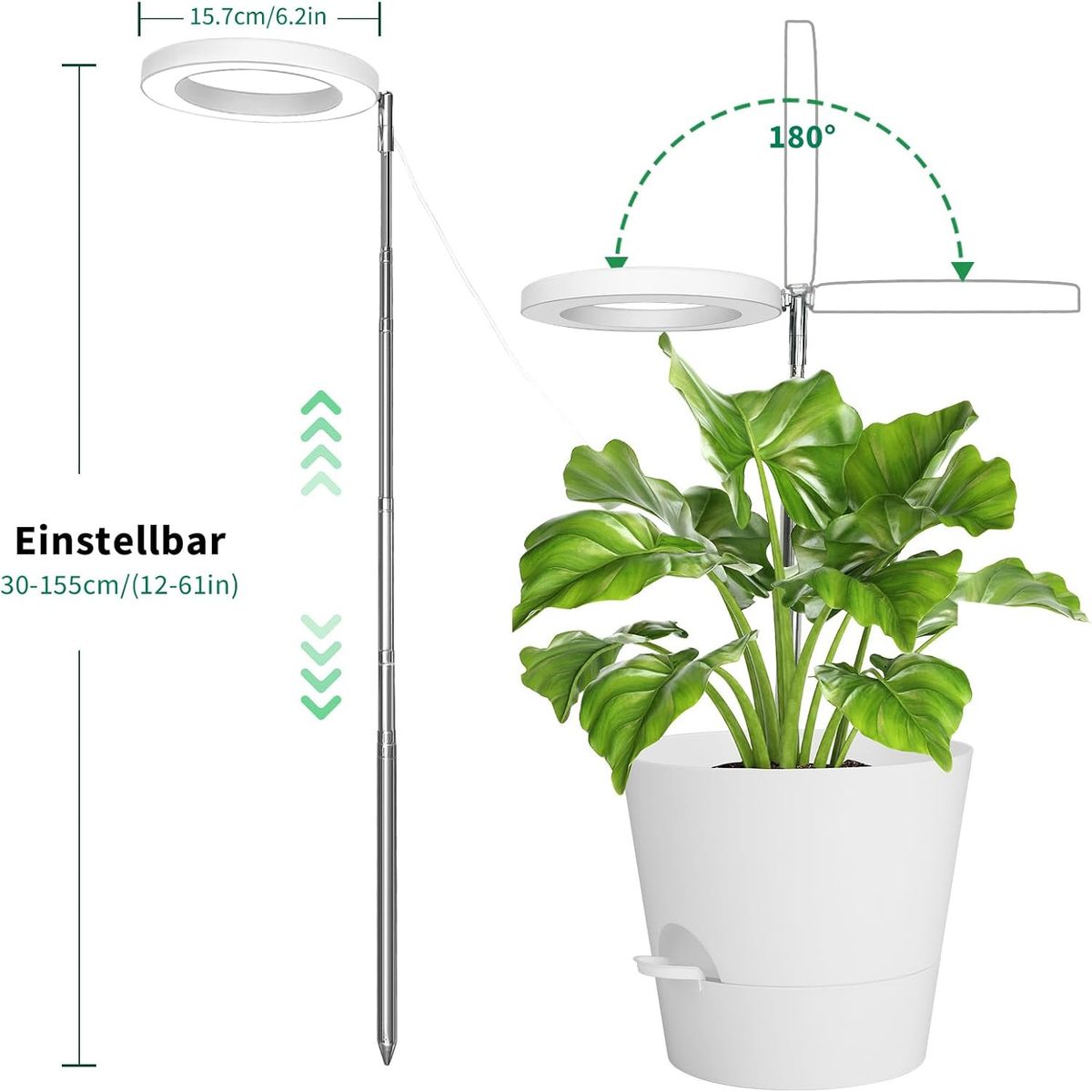 6 Inch LED Angel Ring Plant Light Full Spectrum Plant Grow Light Indoor Potted Plant Fill Light & Factory_maomaolike.com
