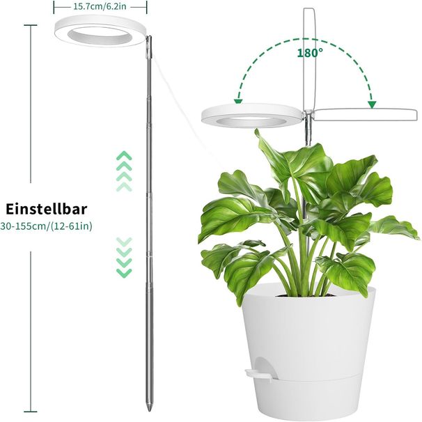 6 Inch LED Angel Ring Plant Light Full Spectrum Plant Grow Light Indoor Potted Plant Fill Light & Factory_maomaolike.com
