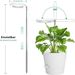 6 Inch LED Angel Ring Plant Light Full Spectrum Plant Grow Light Indoor Potted Plant Fill Light & Factory_maomaolike.com