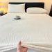 Winter Milk Velvet 2025 New Coral Thickened Fleece Mattress Protector Cover Bed Sheet_maomaolike.com