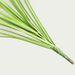 Nordic Ins-style Home Decor Single Reed Plant, Indoor Plant Wall, Artificial Reed, Onion Grass, Fake Flowers_maomaolike.com