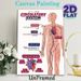 Circulatory System Painting Poster, Informative Clear Labeled Anatomical Illustration Poster, Educational Design To Learn Human Circulatory Structure_maomaolike.com