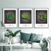A Triptych Of Decorative Prints Blending Modern Minimalism With Nature, Warm Healing Green Tones, And The Crisp Simplicity Of Scandinavian Design._maomaolike.com