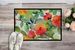Connecticut Mountain Laurels In Watercolor Doormat Front Door Mat Indoor Outdoor Rugs For Entryway, Non Slip Washable Low Pile, 24H X 36W_maomaolike.com